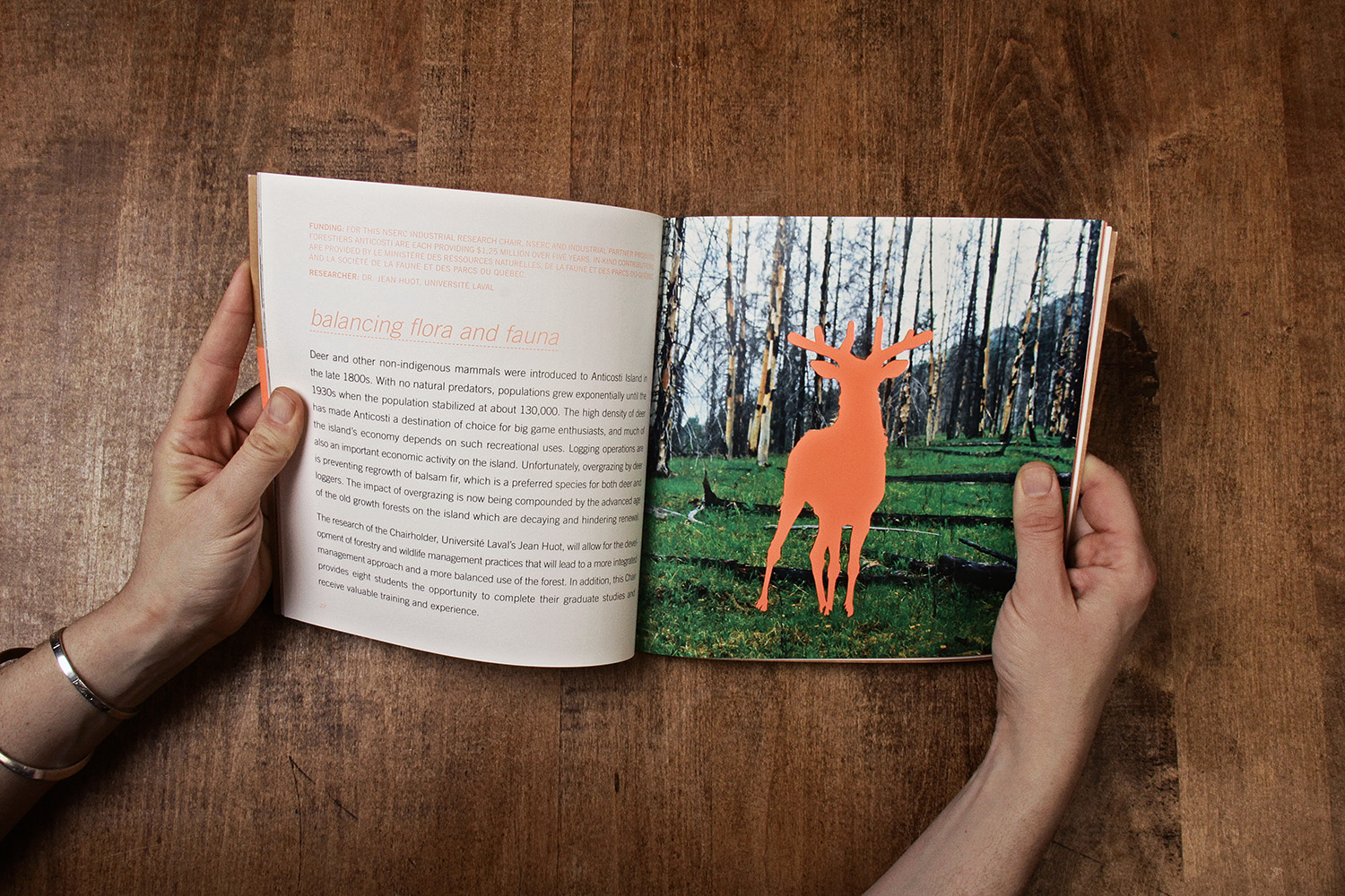 nserc-deer